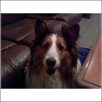 Helen Carr Photo 12