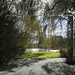 Earl Rowe Photo 14