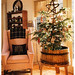 Kathy Parker Photo 15