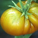 Ruby Green Photo 9