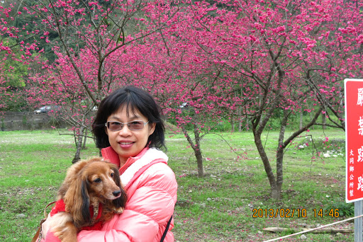 Ann Yang Photo 26