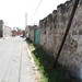 Hidalgo Leon Photo 3