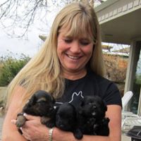 Sheri Lee Photo 44