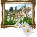 Sue Thomason Photo 31