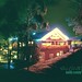 Andy Duong Photo 17