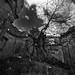 Don Bucci Photo 9