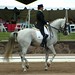 Melissa Canter Photo 4