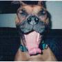 Annette Carpenter Photo 2