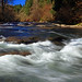 Mark Polk Photo 26