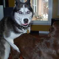 Raymond Coffman Photo 4