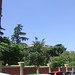 Lazaro Castellanos Photo 5
