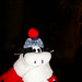 Sandra Tynes Photo 12