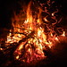 Jacqueline Burns Photo 42