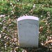 David Bobb Photo 7