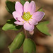 David Murtha Photo 17