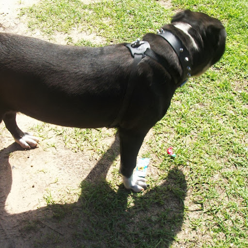 Reggie Moore Photo 7