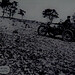 Frank Mccutcheon Photo 12