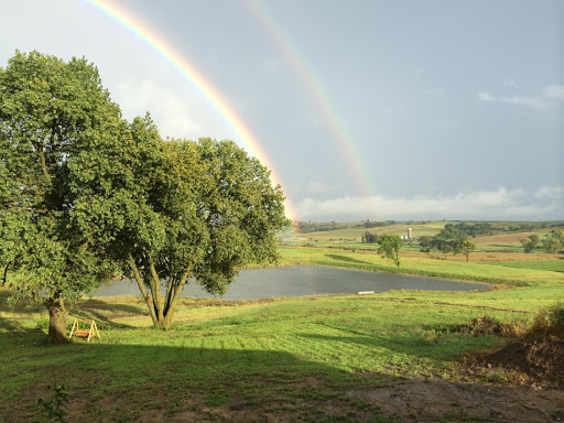David Robinette Photo 36
