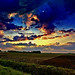 Dawn Fields Photo 16