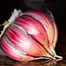 Mark Knoblauch Photo 27