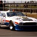 Robin Bell Photo 20