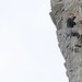 Mark Riley Photo 35
