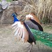 Gail Potter Photo 15