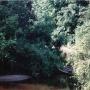 Arthur Applegate Photo 5