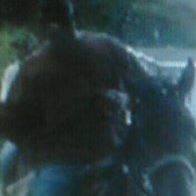 Mark Harris Photo 37