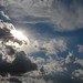 Constance Wright Photo 17