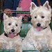 Kerry Hicks Photo 31