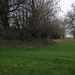 Robert Cole Photo 6