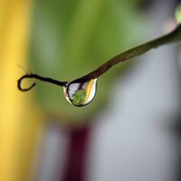 Mohammad Alkhatib Photo 15