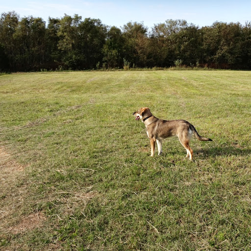 Randall Hoover Photo 7