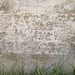Martin Snyder Photo 45