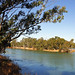 Murray Darling Photo 9
