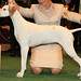 Kelley Cheek Photo 23