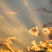 Ray Sullivan Photo 10