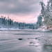 Lewis Long Photo 8