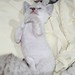 Cindy Minks Photo 11