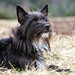 Dave Doris Photo 15
