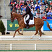 Boyd Martin Photo 14