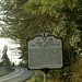 Virginia Groves Photo 10