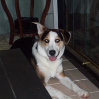Janet Woodworth Photo 7