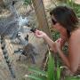Traci Jones Photo 43