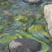 Aimee Waters Photo 23