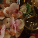 Antoinette Berry Photo 15