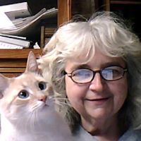Mary Rutter Photo 18