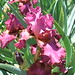 Ruth Porter Photo 22