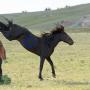 Robert Doty Photo 32